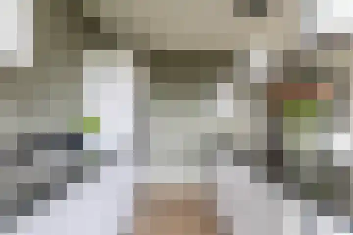Meidoornweg 230 Badhoevedorp thumbnail 4