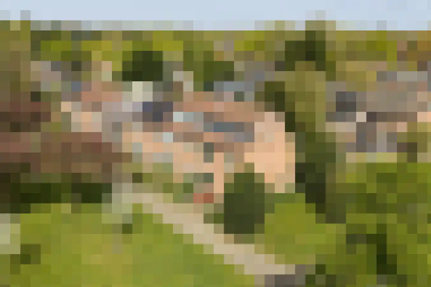 Meidoornweg 24 Soest thumbnail 35