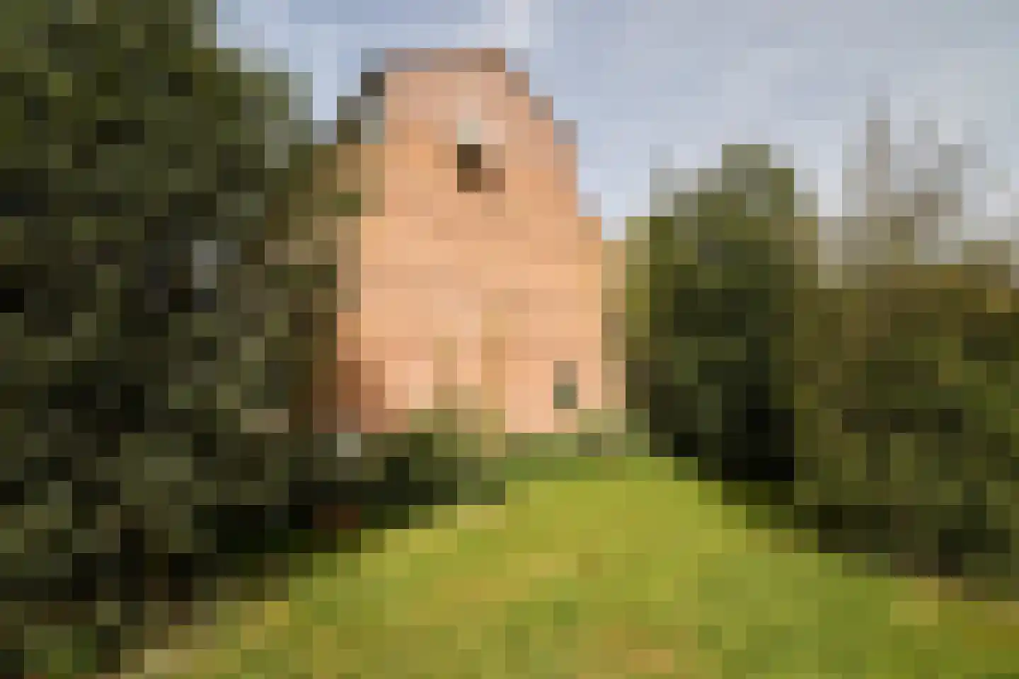 Meidoornweg 24 Soest thumbnail 37