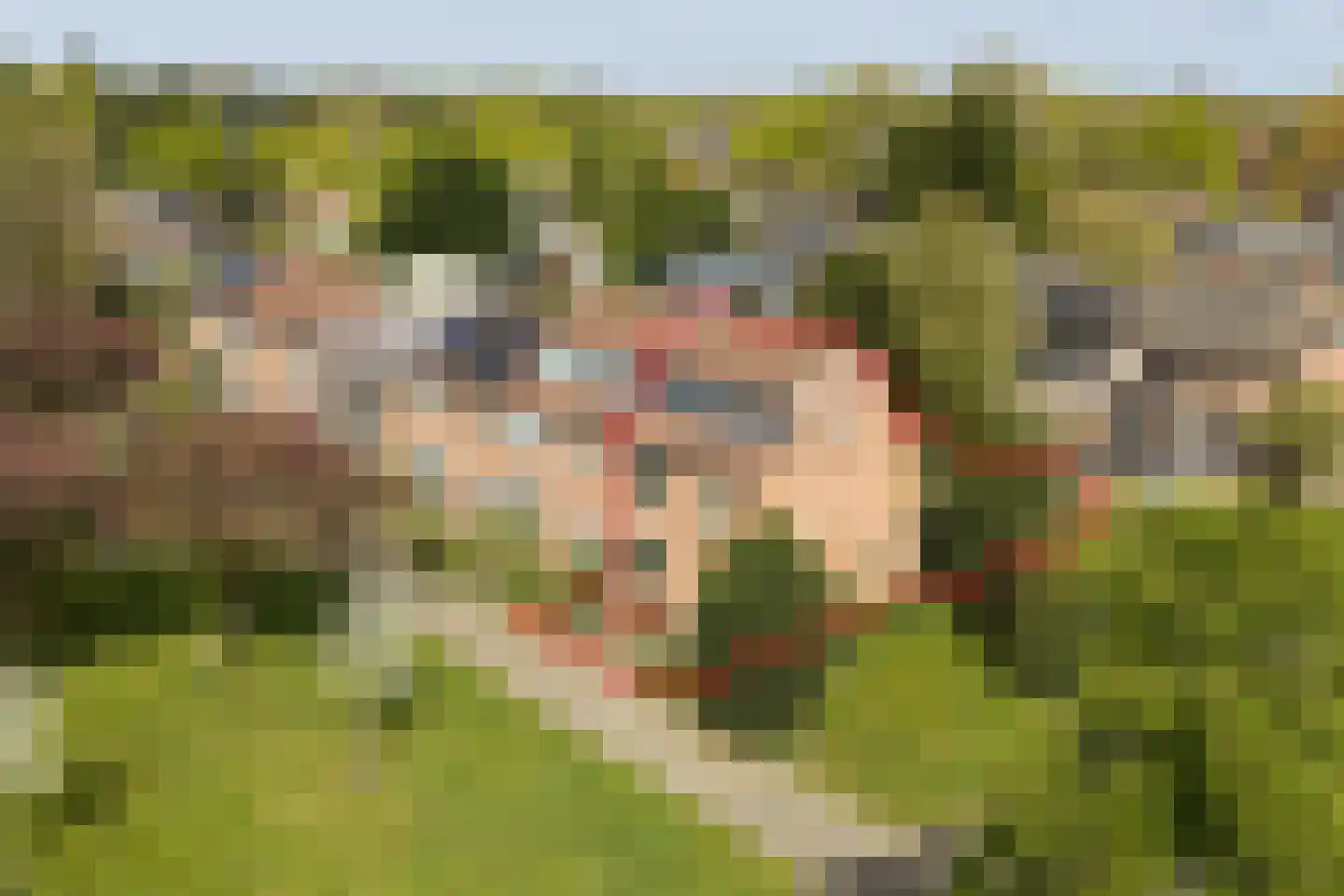 Meidoornweg 24 Soest thumbnail 38