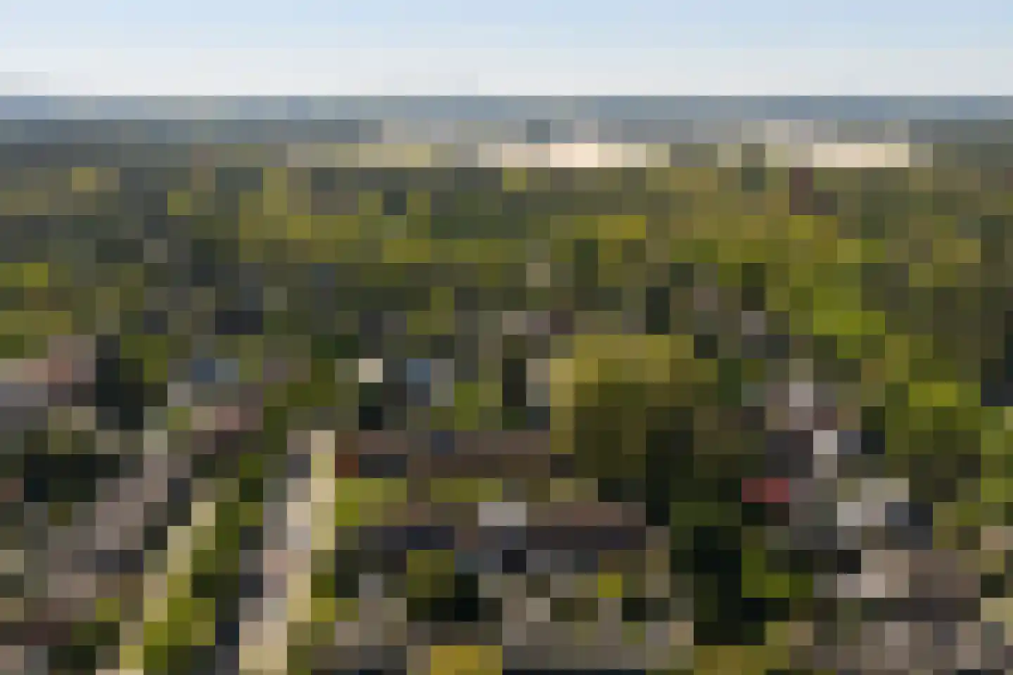 Meidoornweg 24 Soest thumbnail 39