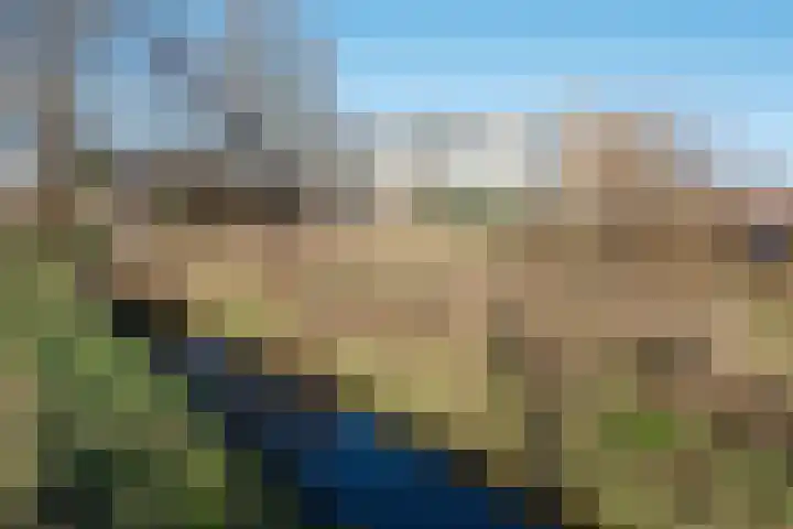 Meidoornweg 246 Badhoevedorp thumbnail 16