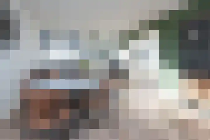 Meidoornweg 246 Badhoevedorp thumbnail 4