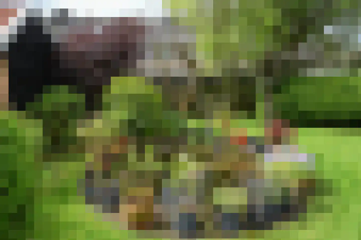 Meidoornweg 29 Badhoevedorp thumbnail 28