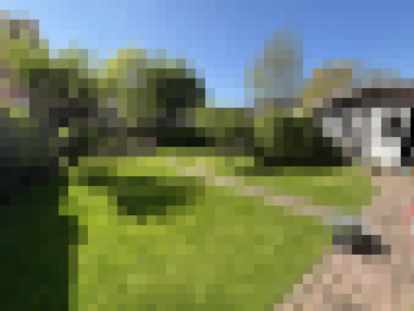 Meidoornweg 29 Badhoevedorp thumbnail 32
