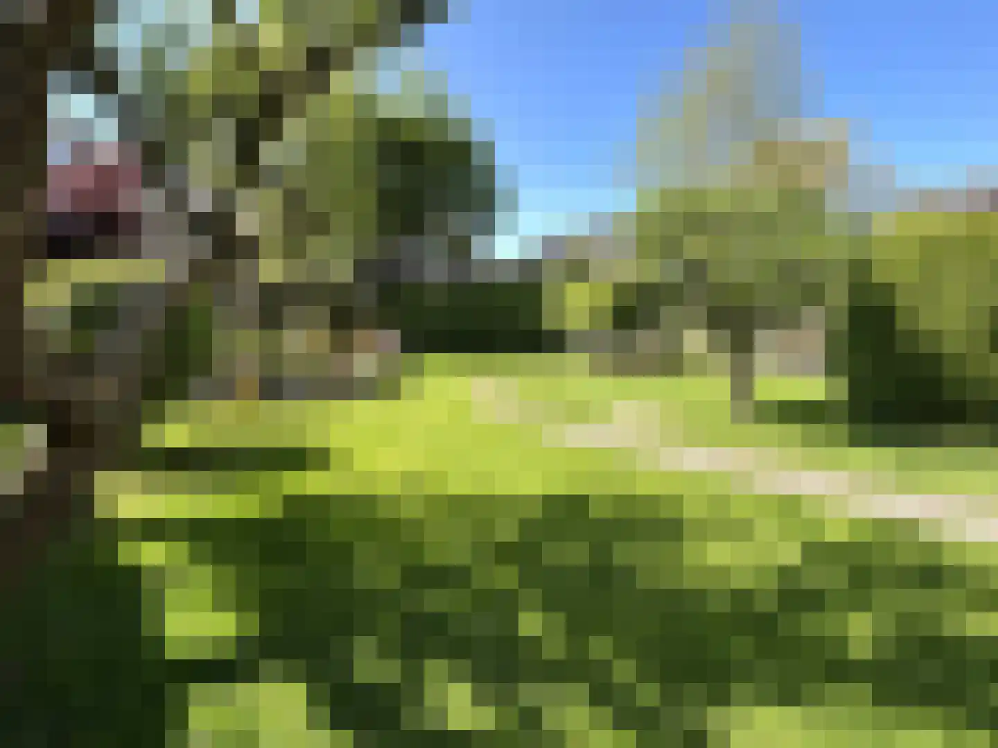 Meidoornweg 29 Badhoevedorp thumbnail 7