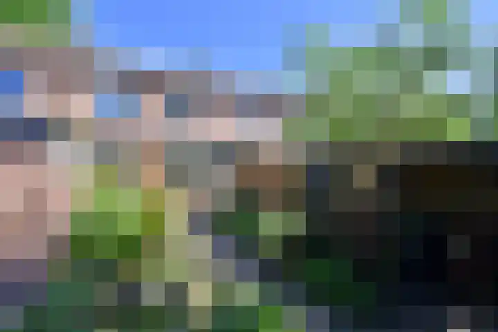 Meidoornweg 40 Soest thumbnail 4