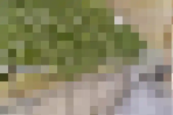 Meidoornweg 90 Badhoevedorp thumbnail 10
