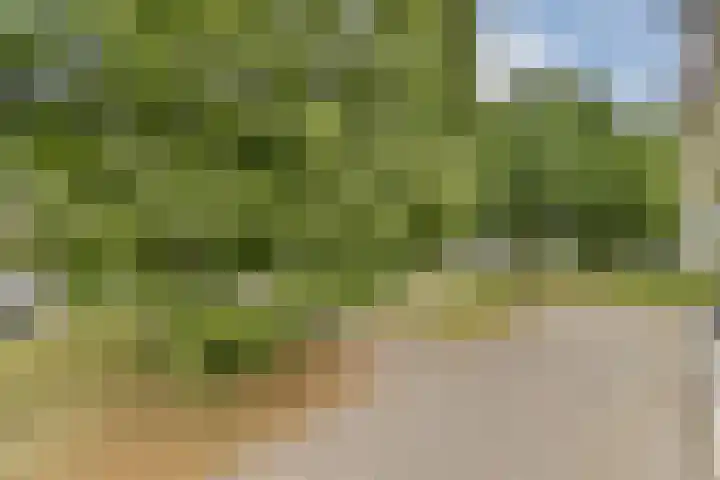 Meidoornweg 90 Badhoevedorp thumbnail 11