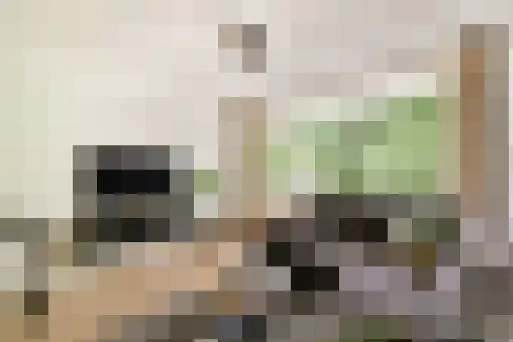 Meidoornweg 90 Badhoevedorp thumbnail 23