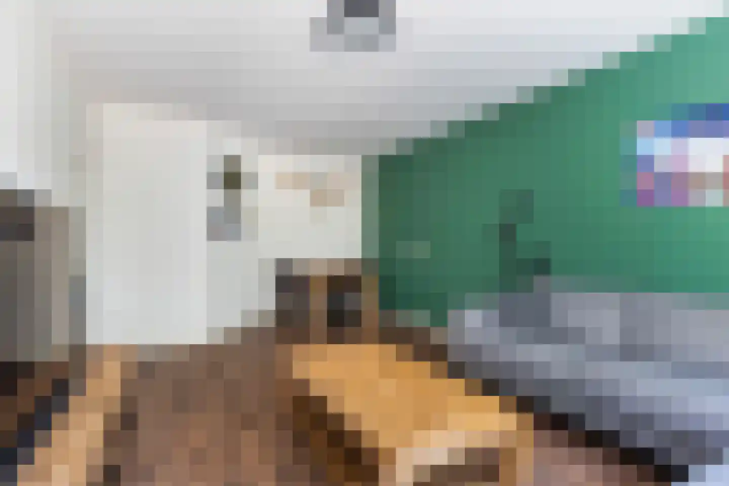 Meiendaal 113 Rozenburg thumbnail 12