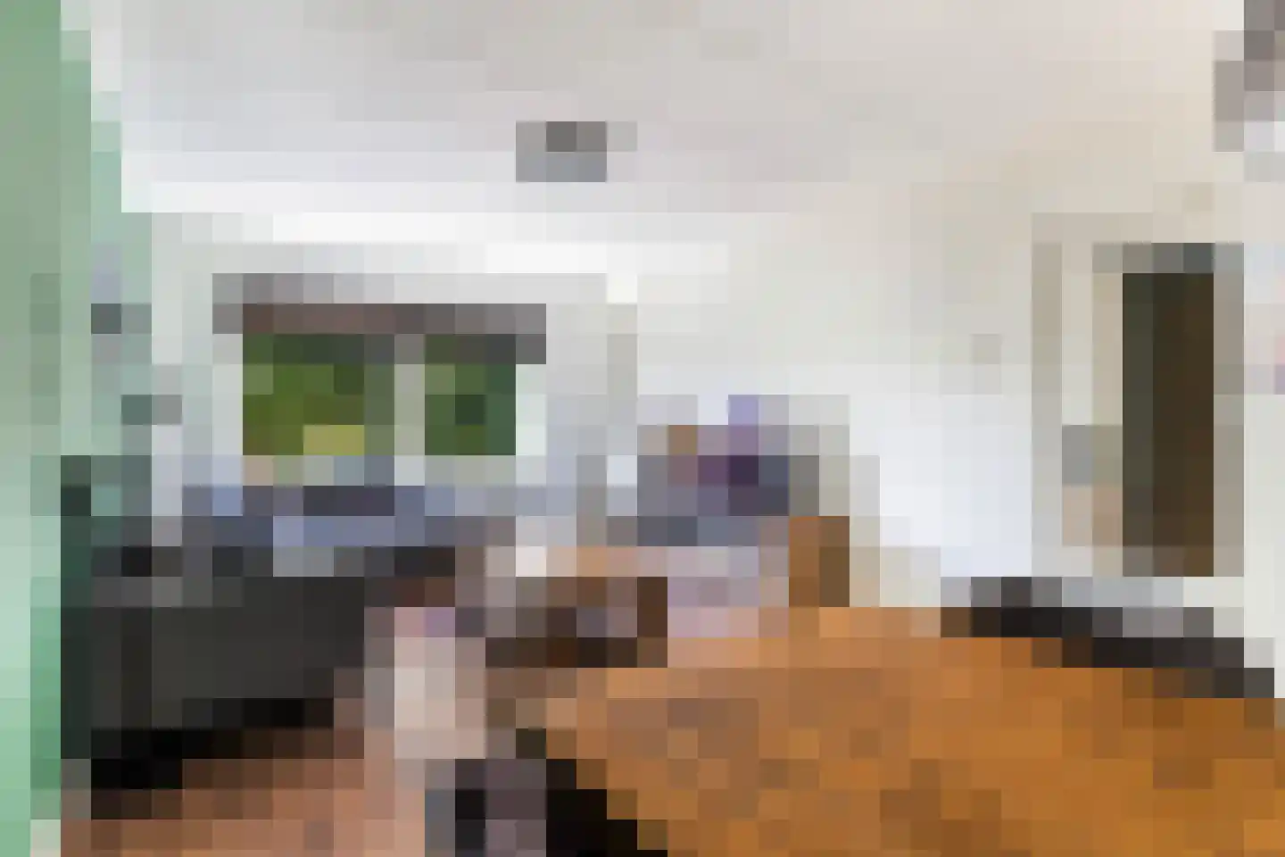 Meiendaal 113 Rozenburg thumbnail 14