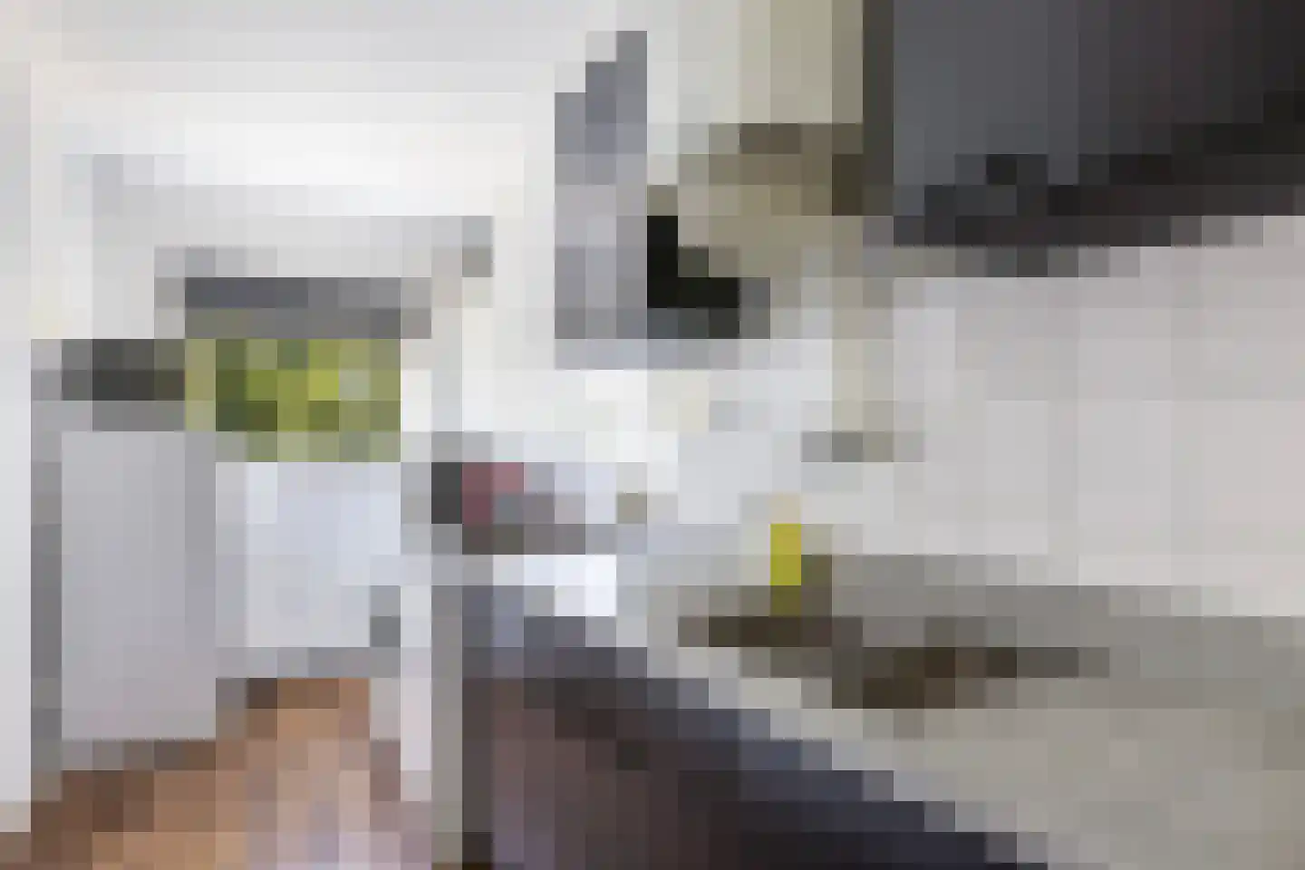 Meiendaal 113 Rozenburg thumbnail 26