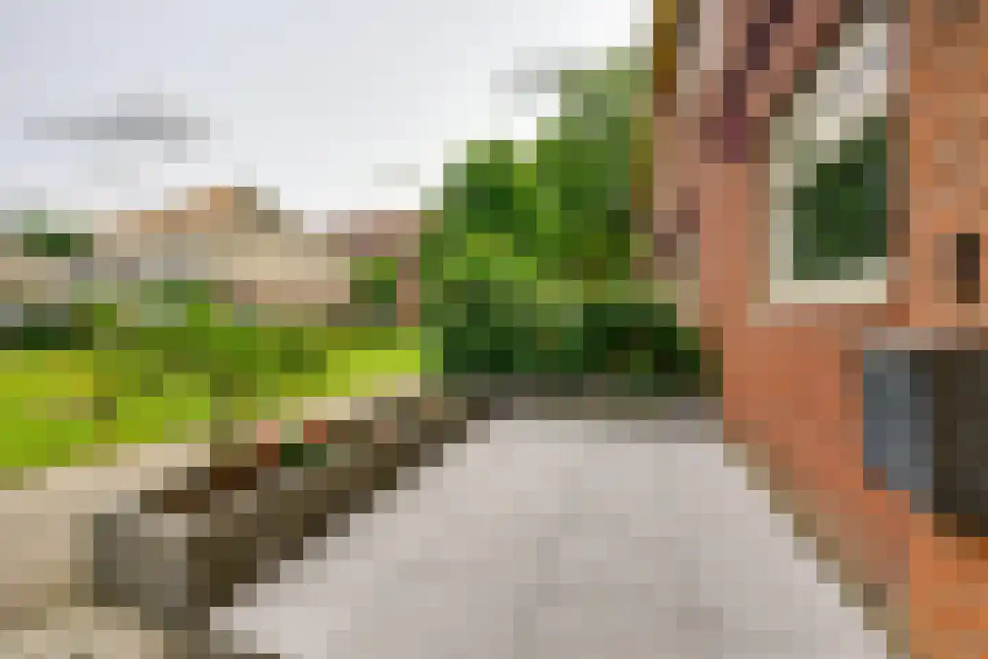 Meiendaal 16 Rozenburg thumbnail 17