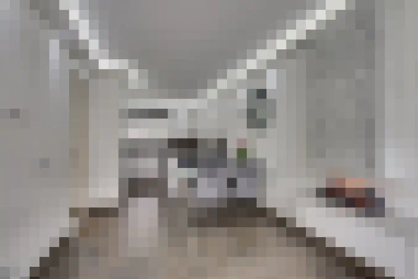 Meiendaal 16 Rozenburg thumbnail 24