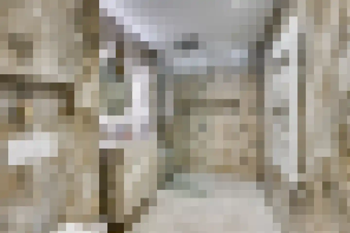 Meiendaal 16 Rozenburg thumbnail 6