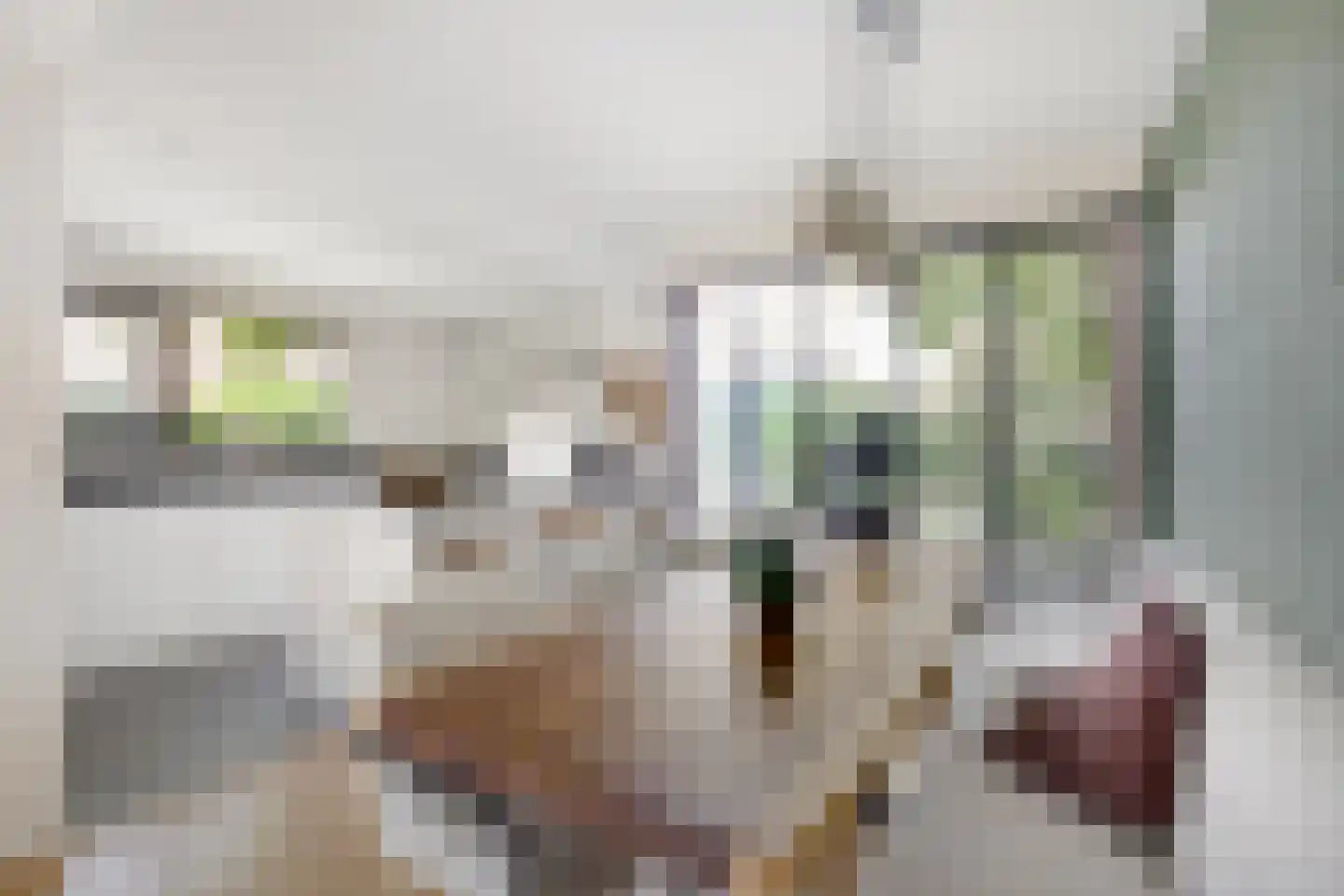 Meiendel 24 Haarlem thumbnail 13