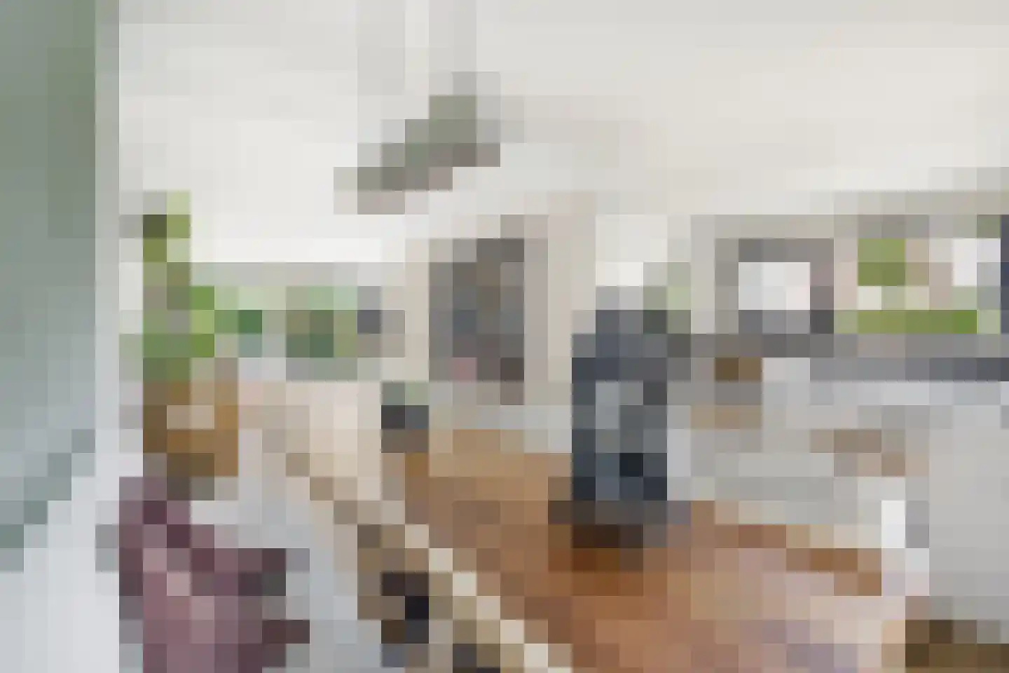 Meiendel 24 Haarlem thumbnail 15