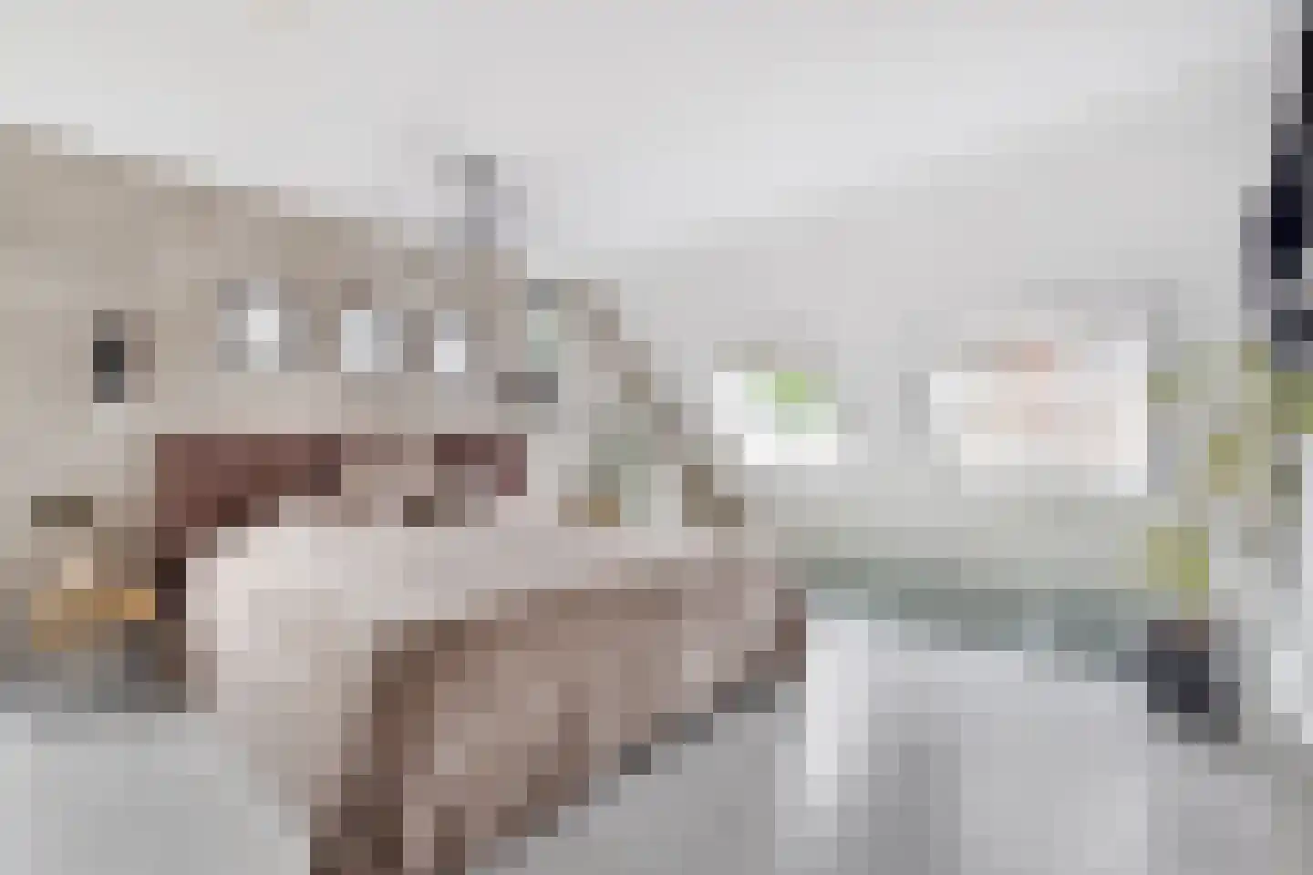 Meiendel 24 Haarlem thumbnail 26