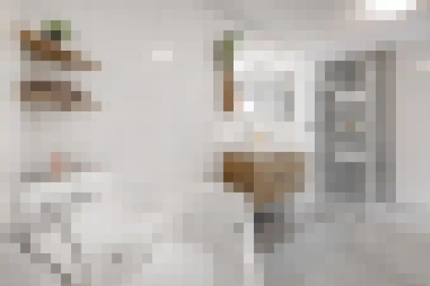 Meiendel 24 Haarlem thumbnail 31