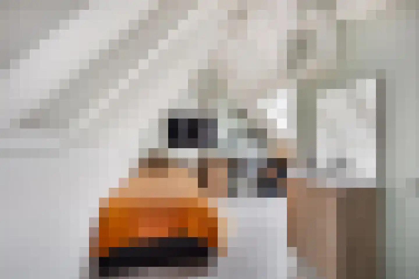Meiendel 24 Haarlem thumbnail 33