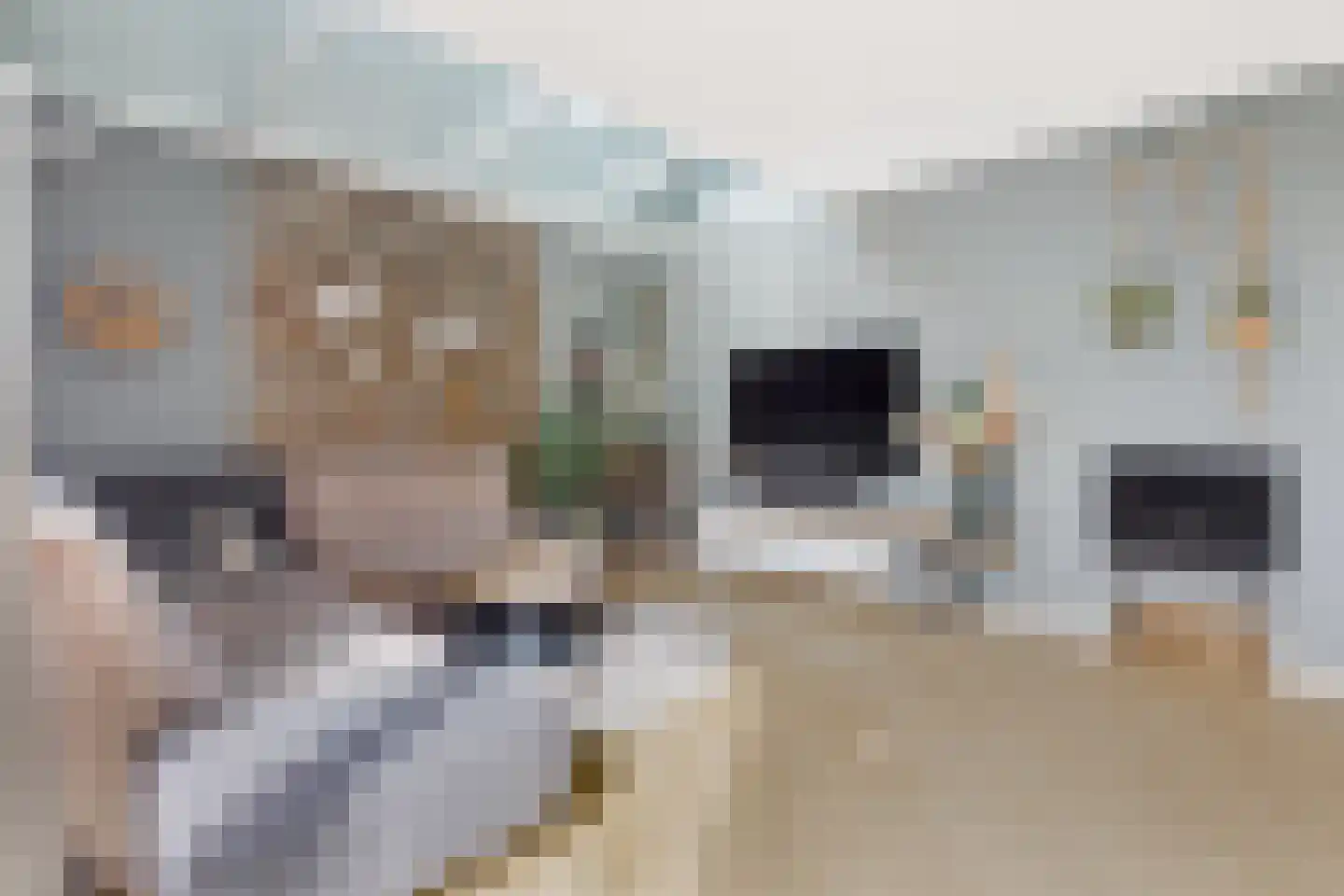 Meiendel 24 Haarlem thumbnail 7