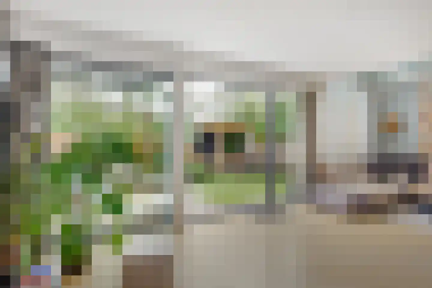 Meiendel 24 Haarlem thumbnail 9