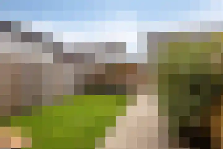 Meienshovel 28 Bergeijk thumbnail 20