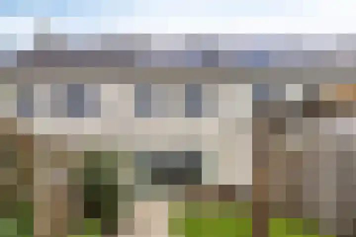 Meienshovel 28 Bergeijk thumbnail 22