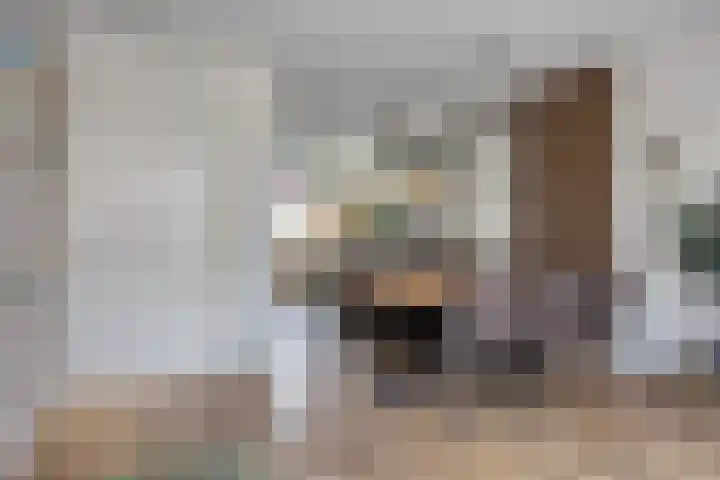 Meienshovel 28 Bergeijk thumbnail 6
