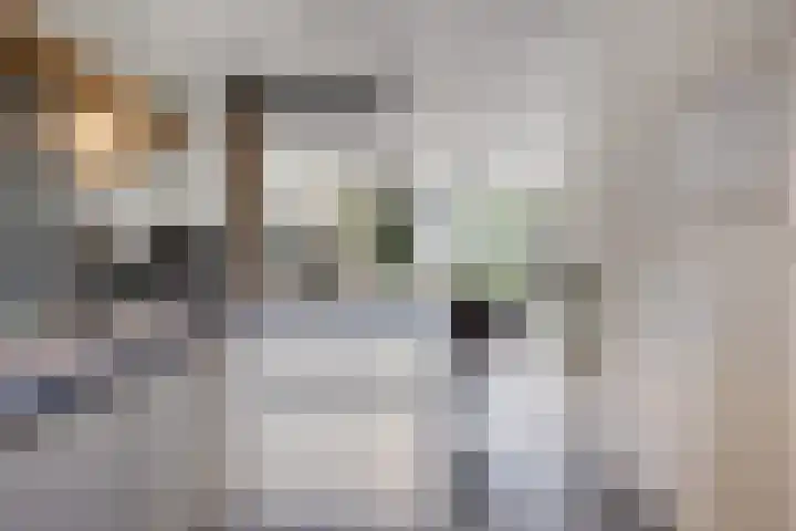 Meienshovel 28 Bergeijk thumbnail 8