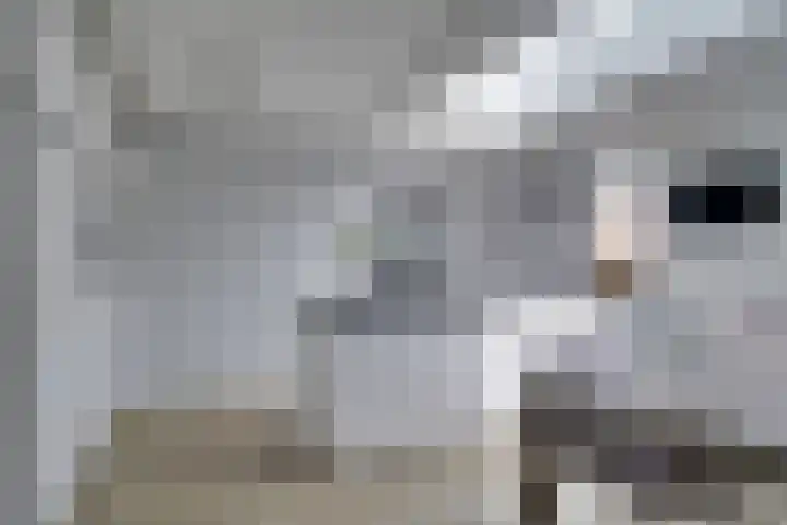 Meienvoort 11 Helmond thumbnail 12