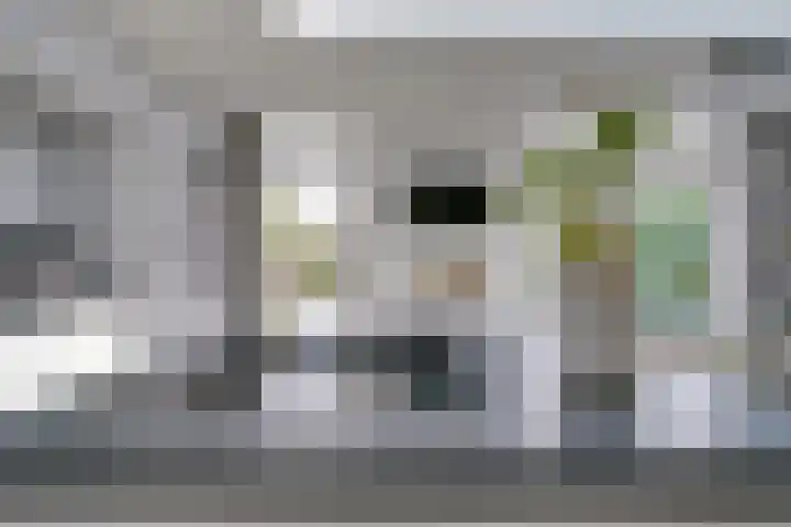 Meienvoort 11 Helmond thumbnail 13