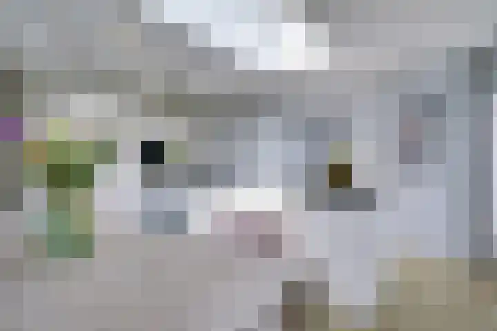 Meienvoort 11 Helmond thumbnail 17
