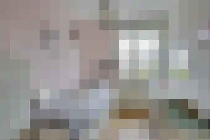 Meienvoort 11 Helmond thumbnail 32