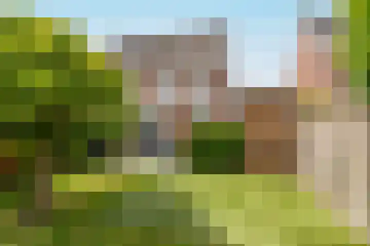 Meienvoort 11 Helmond thumbnail 40