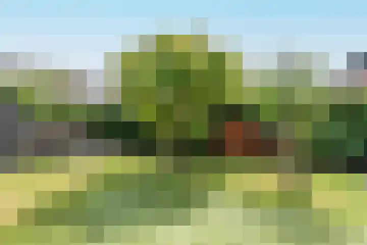 Meienvoort 11 Helmond thumbnail 42