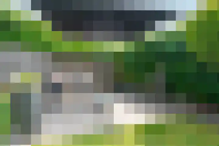 Meienvoort 11 Helmond thumbnail 43