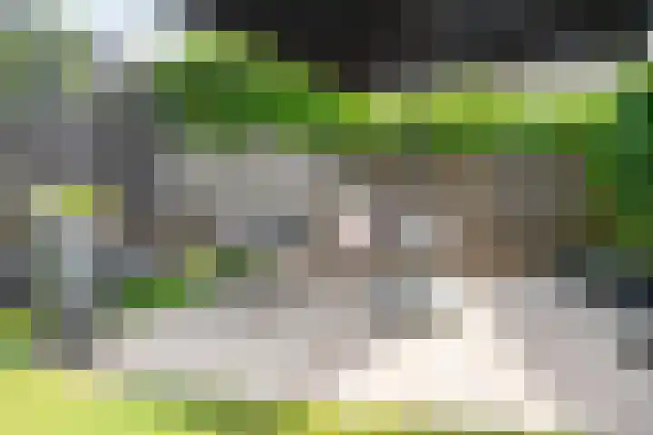 Meienvoort 11 Helmond thumbnail 44