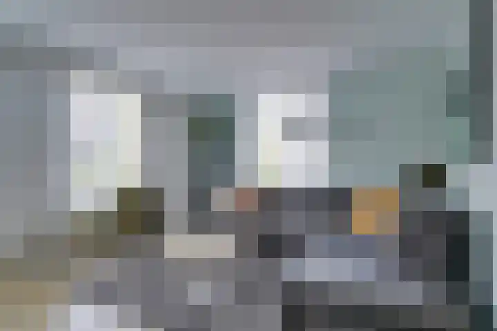 Meienvoort 11 Helmond thumbnail 7