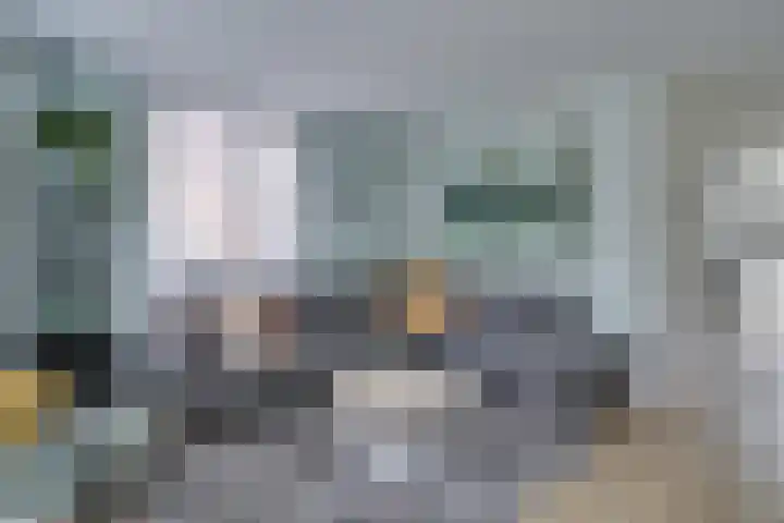 Meienvoort 11 Helmond thumbnail 8