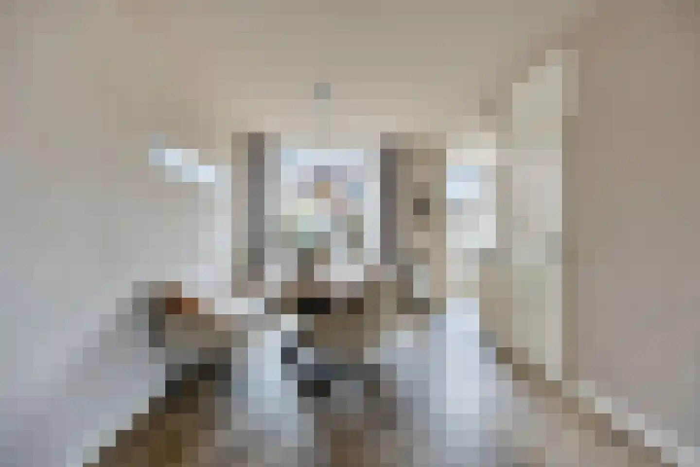 Meierij 3 Oss thumbnail 10