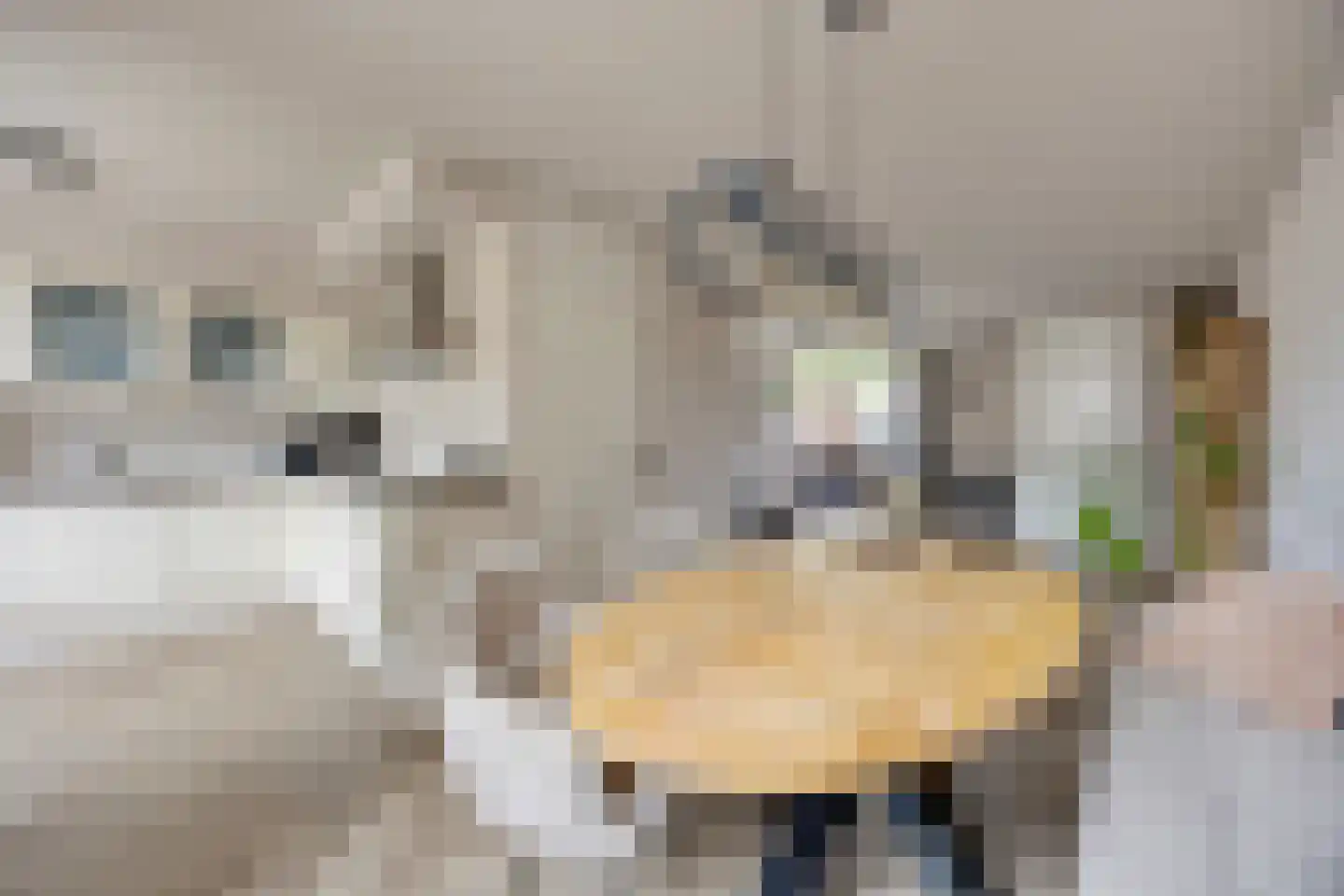 Meierij 3 Oss thumbnail 12