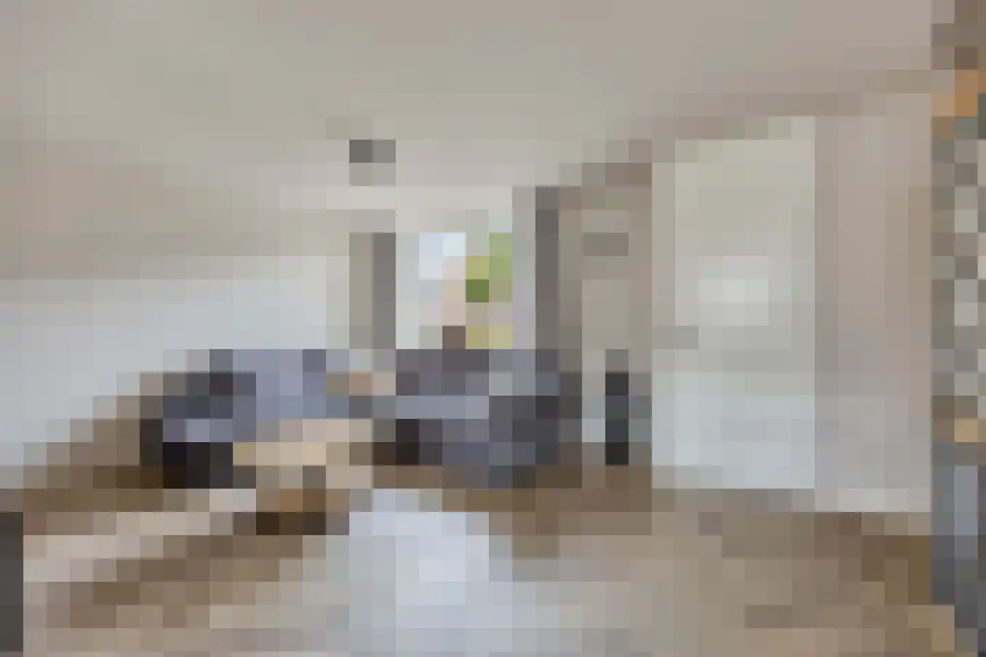 Meierij 3 Oss foto 2