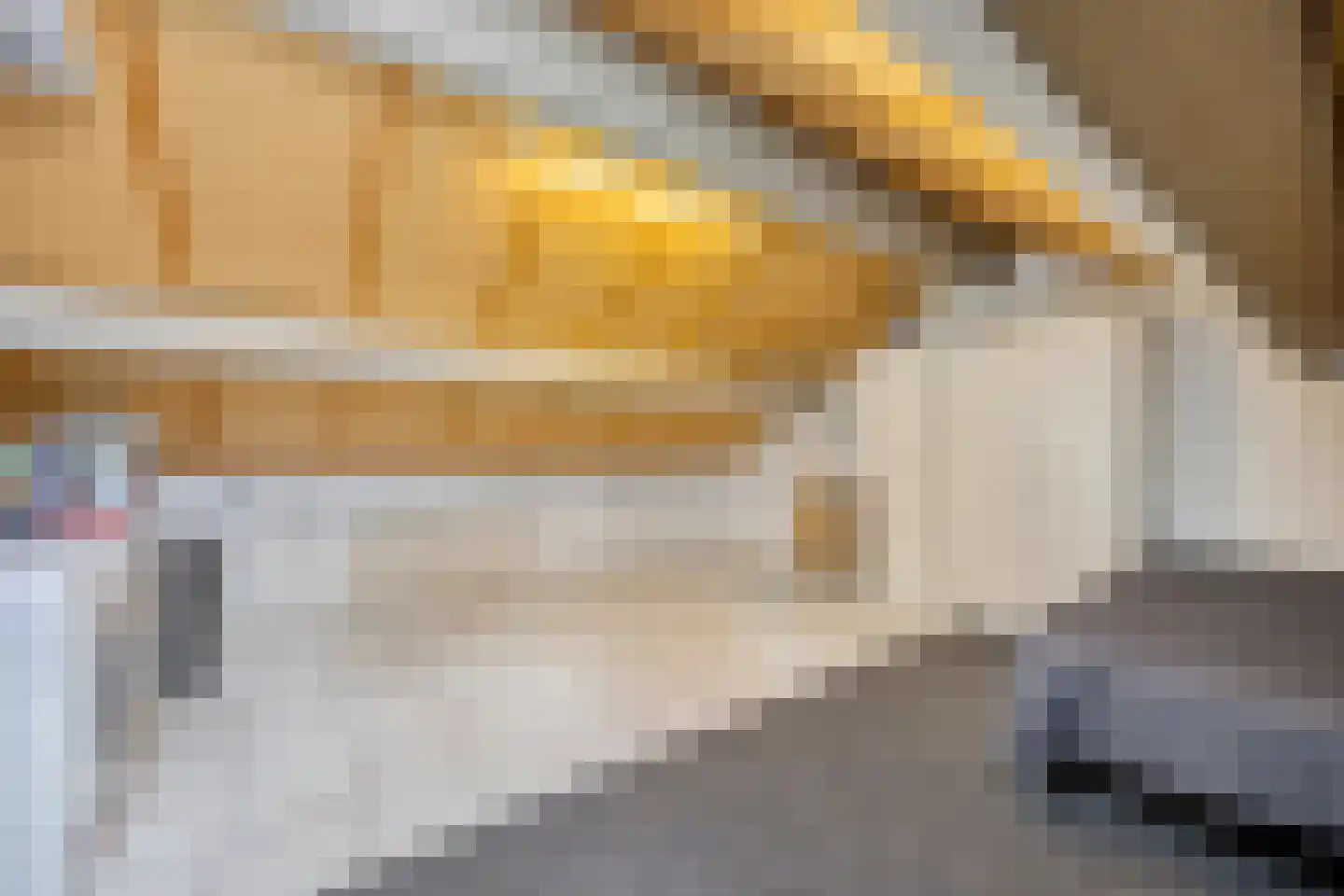 Meierij 3 Oss thumbnail 28