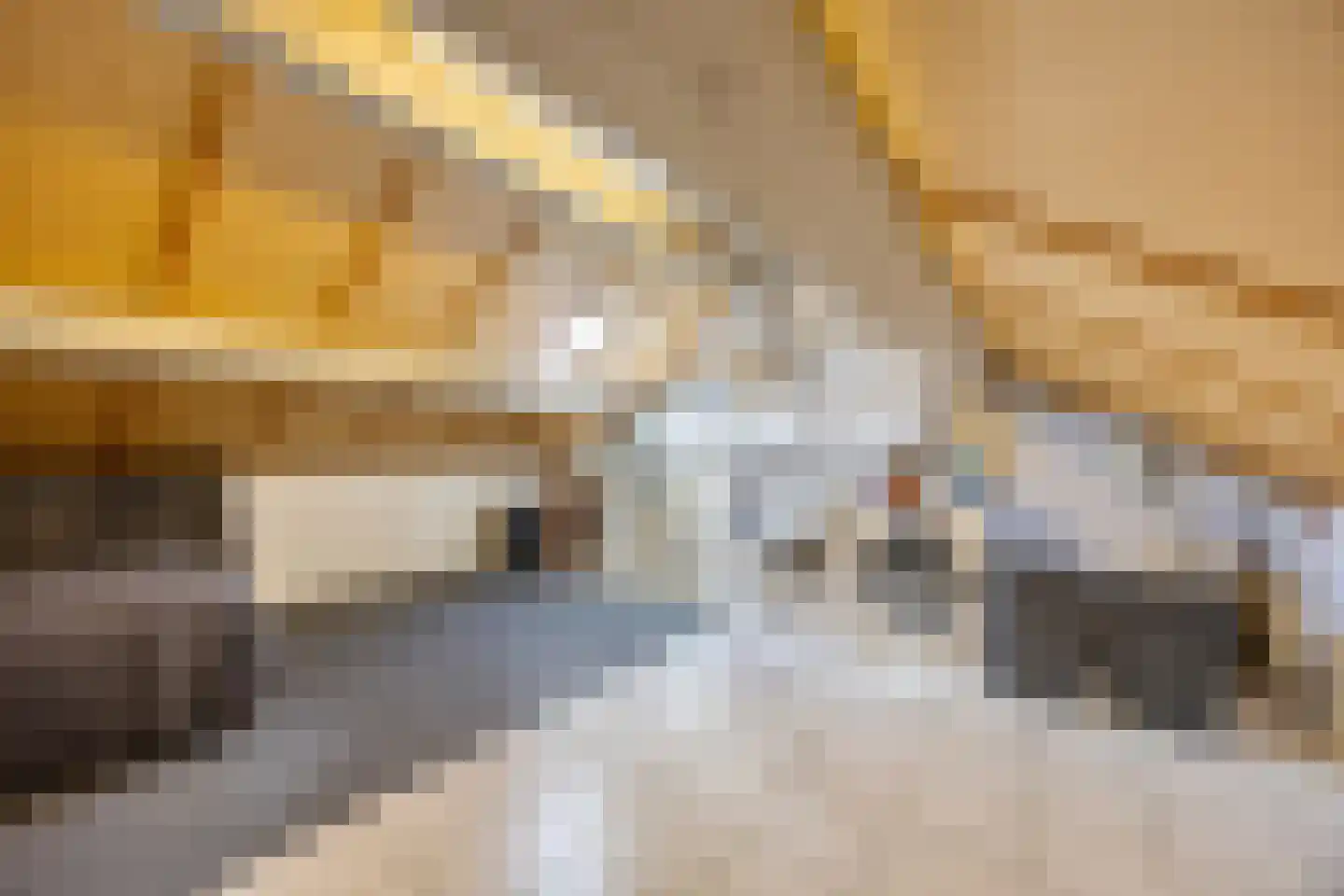Meierij 3 Oss thumbnail 29