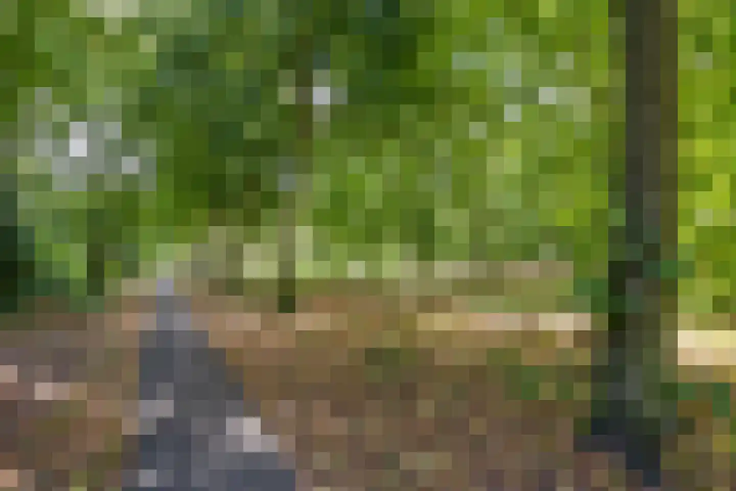 Meierij 3 Oss thumbnail 32