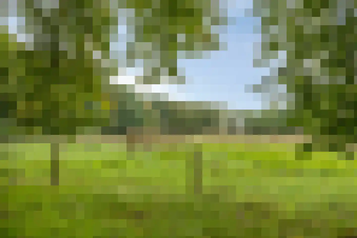 Meierij 3 Oss thumbnail 33