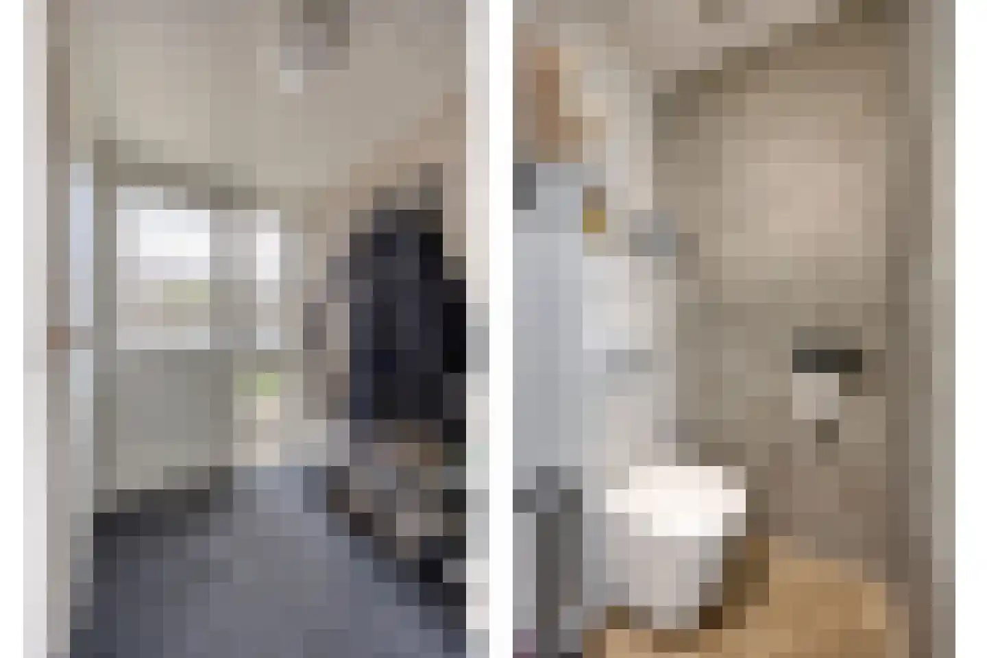 Meierij 3 Oss thumbnail 6