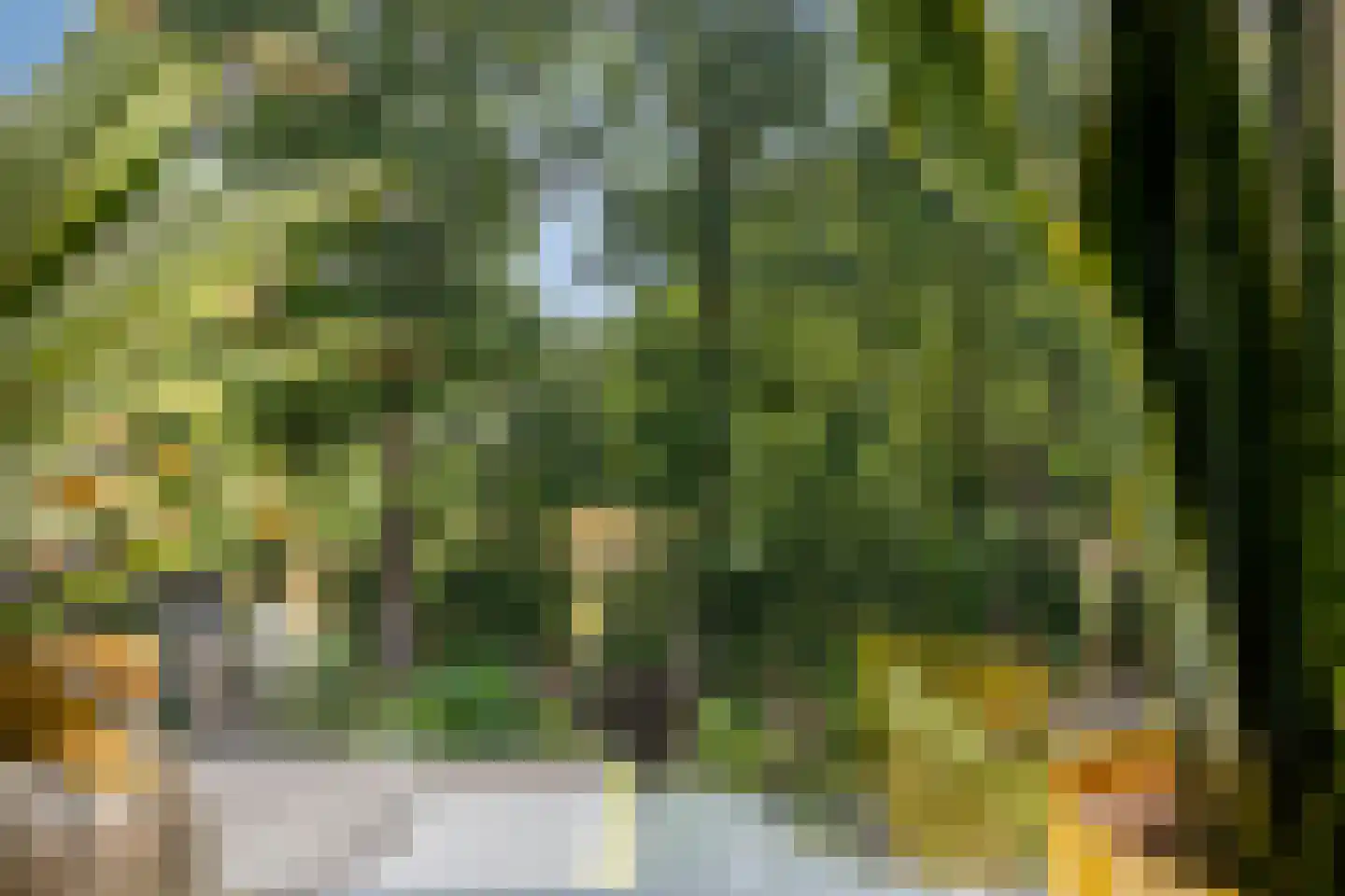 Meierijhoeven 103 Rosmalen thumbnail 19